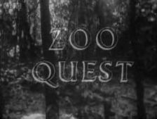 Zoo Quest